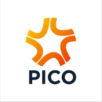 Partner - Pico